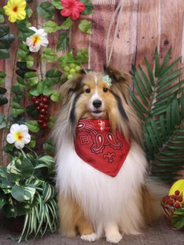 20230829ノアくん